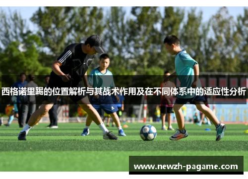 西格诺里踢的位置解析与其战术作用及在不同体系中的适应性分析 西格诺里踢的位置解析与其战术作用及在不同体系中的适应性分析