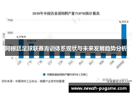 阿根廷足球联赛青训体系现状与未来发展趋势分析