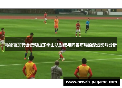 马德鲁加转会费对山东泰山队财政与阵容布局的深远影响分析